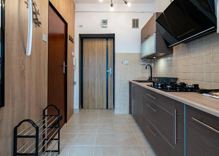 Szeligiewicza Comfort By Bookinghost Katowice